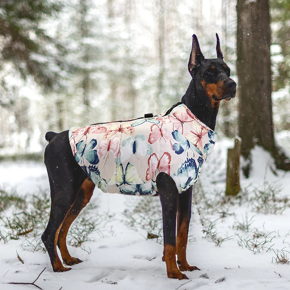 Veste imperméable hiver pour chien