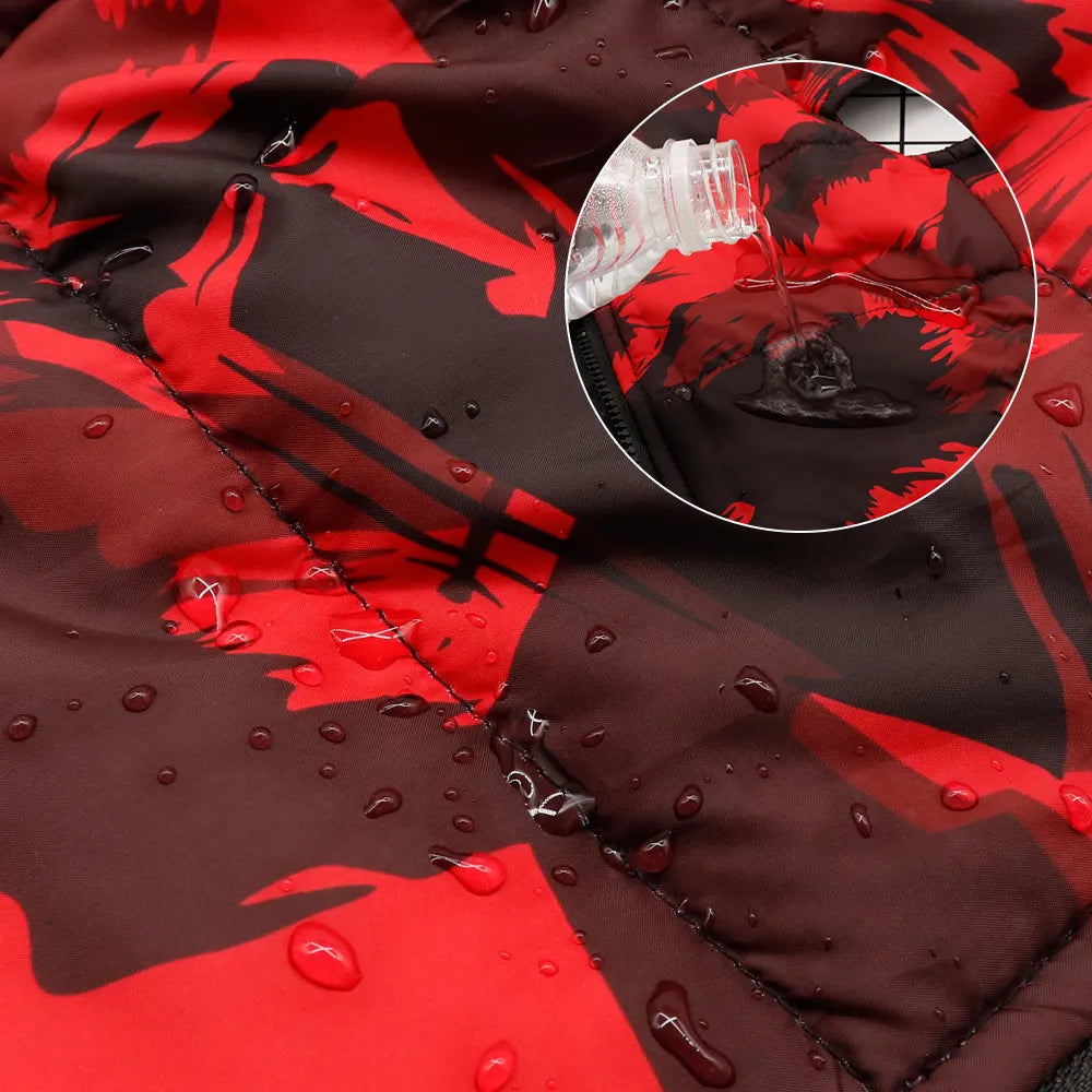 Veste imperméable hiver pour chien