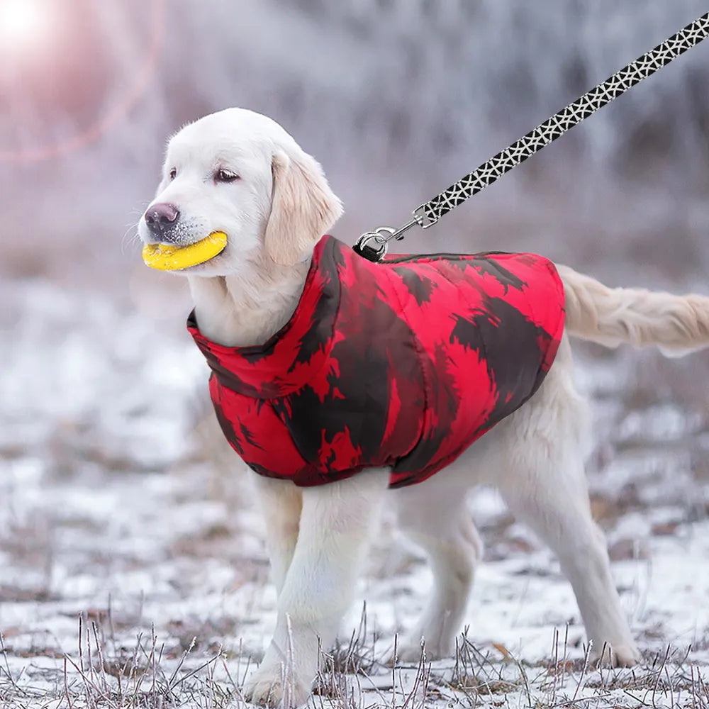 Veste imperméable hiver pour chien