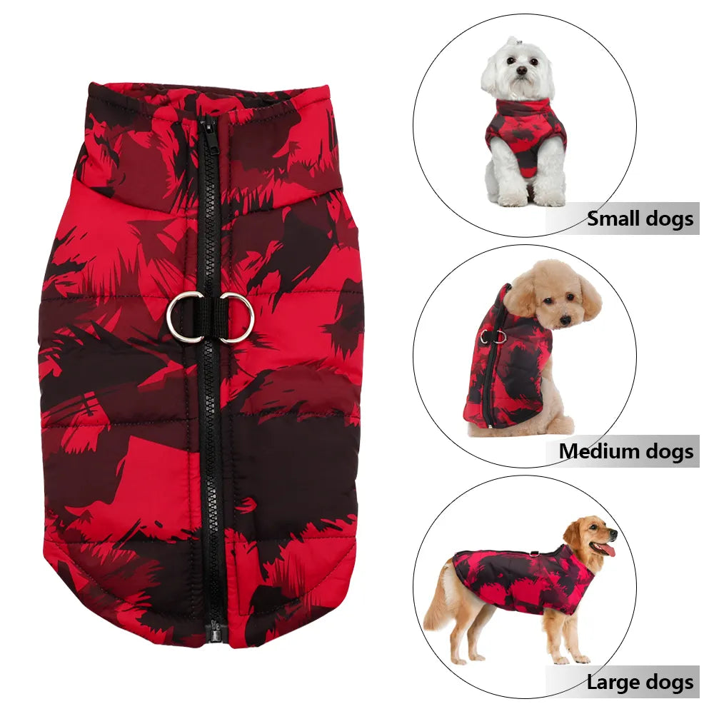 Veste imperméable hiver pour chien