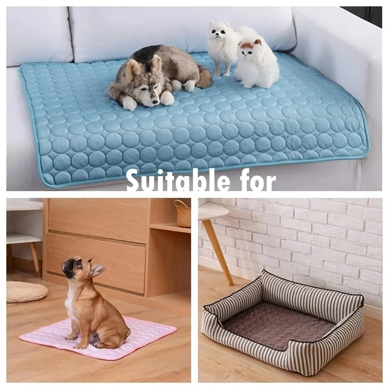 Tapis rafraichissant pour animaux de compagnie