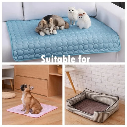 Tapis rafraichissant pour animaux de compagnie
