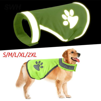 Manteau haute visibilité pour chien