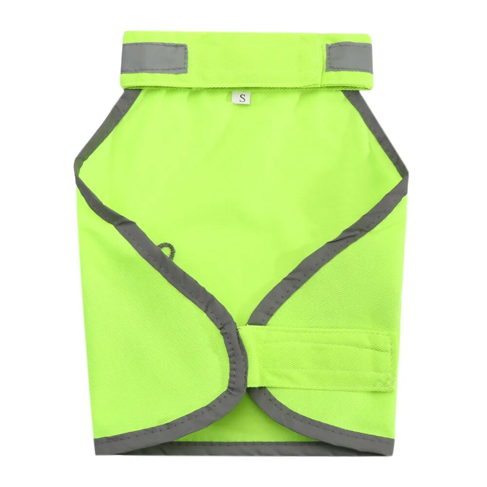 Manteau haute visibilité pour chien