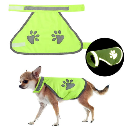 Manteau haute visibilité pour chien