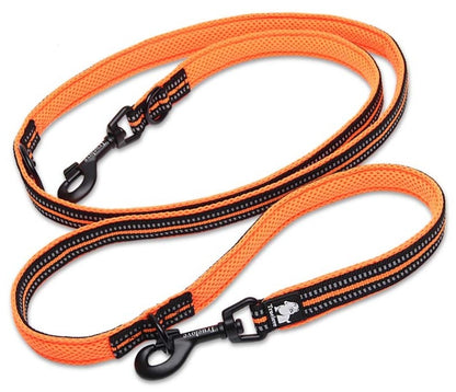 Laisse pour chien multifonction Truelove