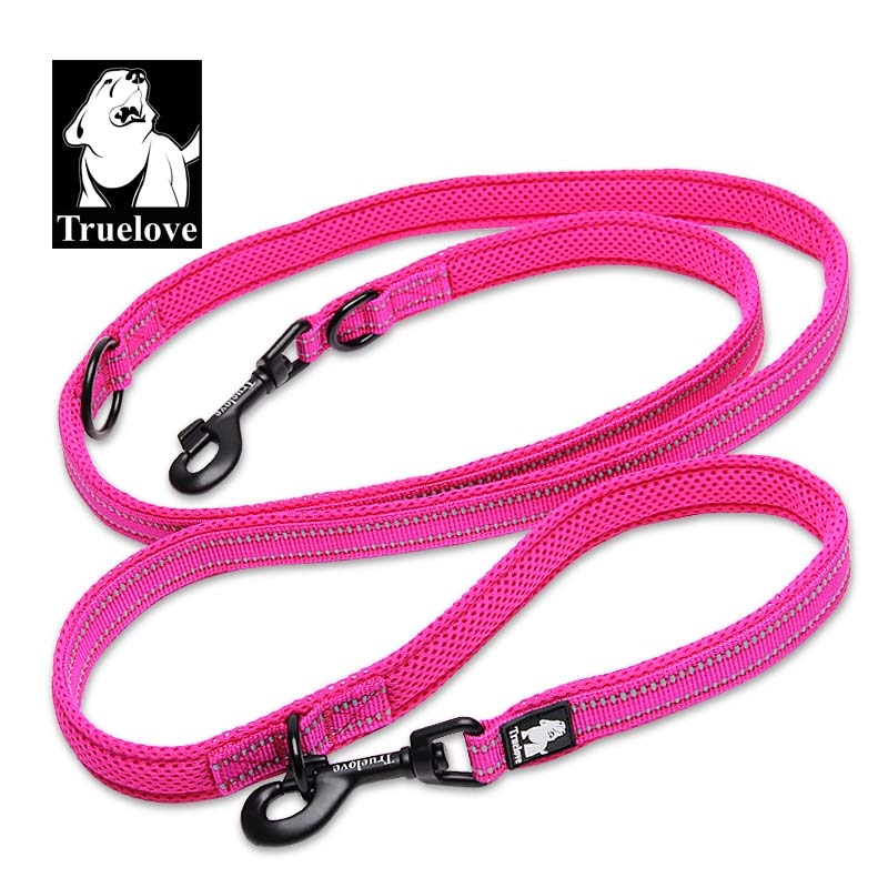 Laisse pour chien multifonction Truelove