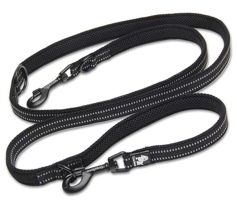 Laisse pour chien multifonction Truelove