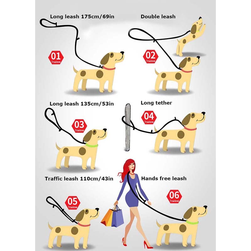 Laisse pour chien multifonction Truelove