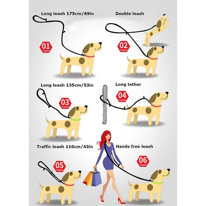 Laisse pour chien multifonction Truelove