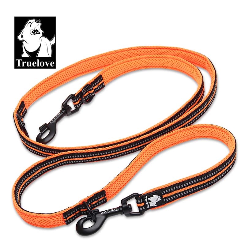 Laisse pour chien multifonction Truelove