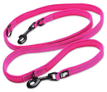 Laisse pour chien multifonction Truelove