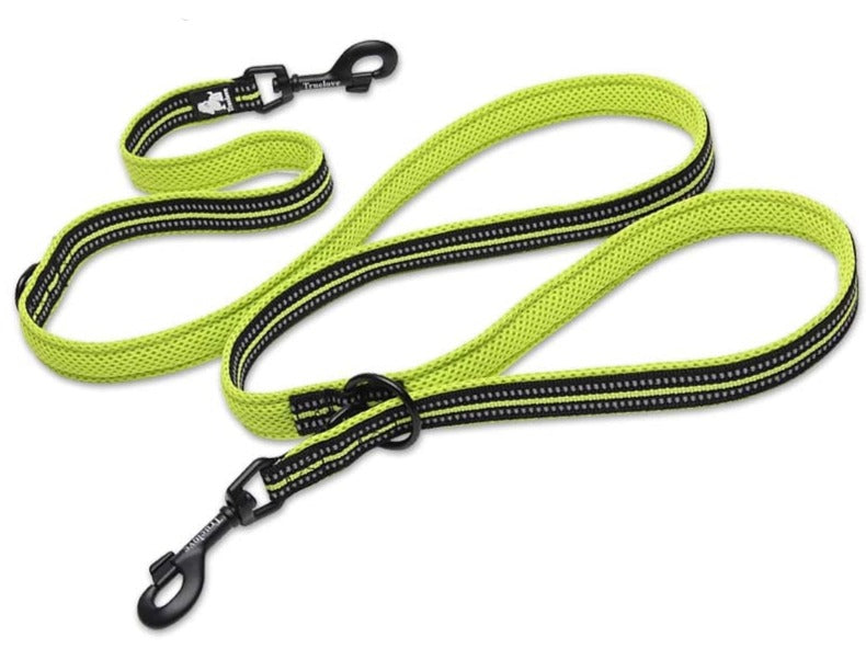 Laisse pour chien multifonction Truelove
