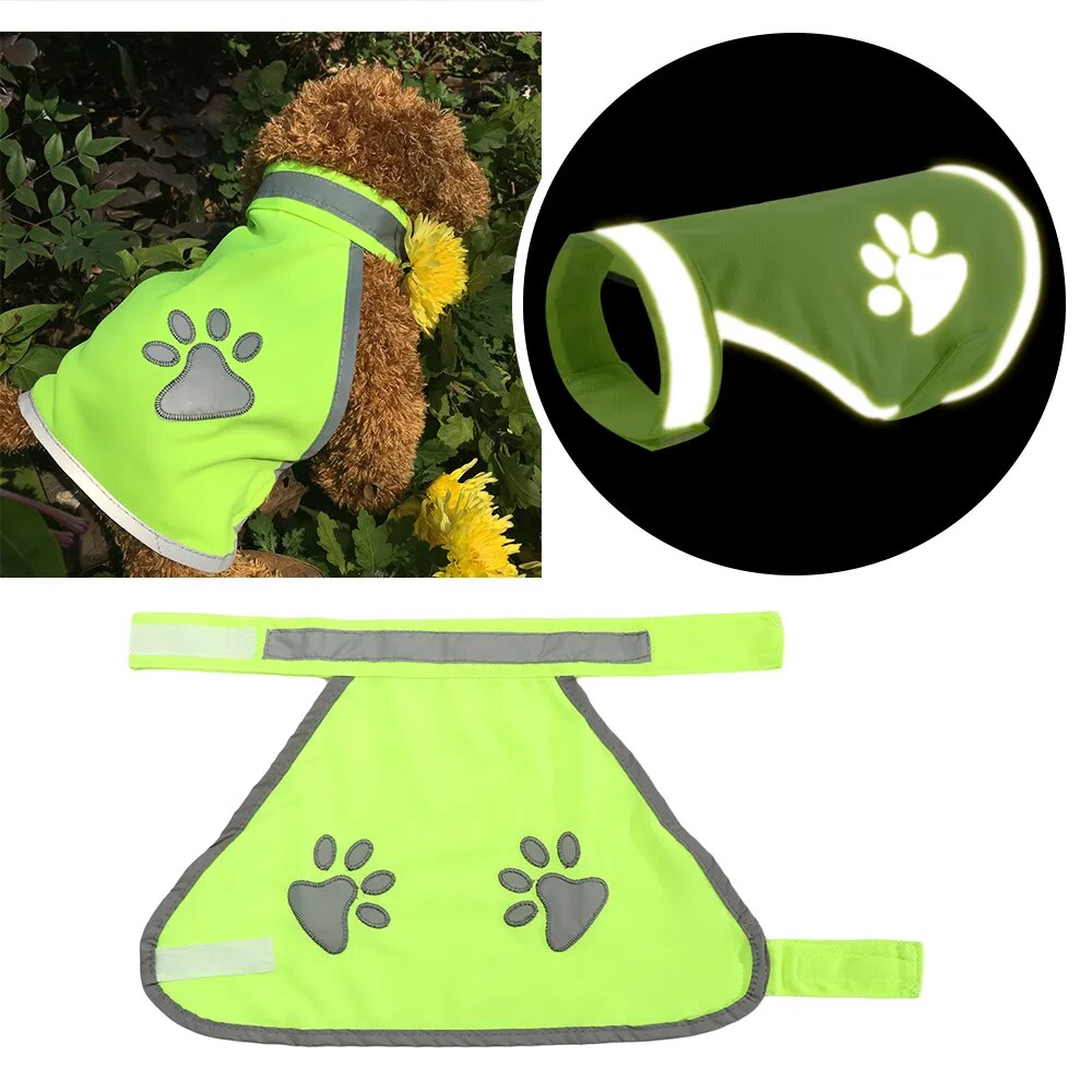 Manteau haute visibilité pour chien