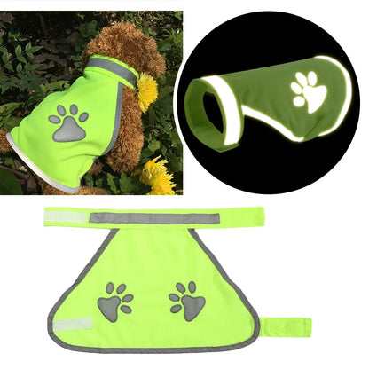 Manteau haute visibilité pour chien