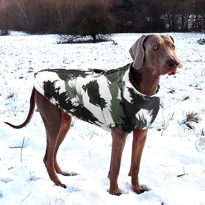 Veste imperméable hiver pour chien
