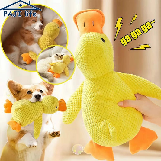 Peluche Canard pour Chien et Chat – Jouet en Polaire Résistant avec Son Grinçant, Anti-Mastication et Confort Doux