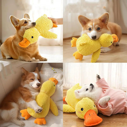 Peluche Canard pour Chien et Chat – Jouet en Polaire Résistant avec Son Grinçant, Anti-Mastication et Confort Doux