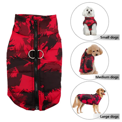 Veste imperméable hiver pour chien