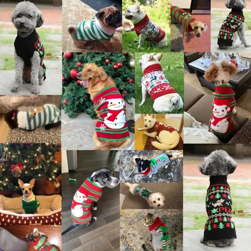 Pull de Noël chaud pour chien et chat