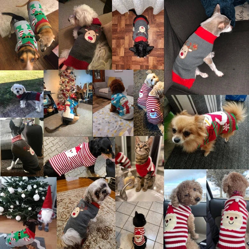 Pull de Noël chaud pour chien et chat