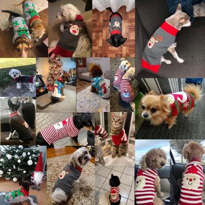 Pull de Noël chaud pour chien et chat