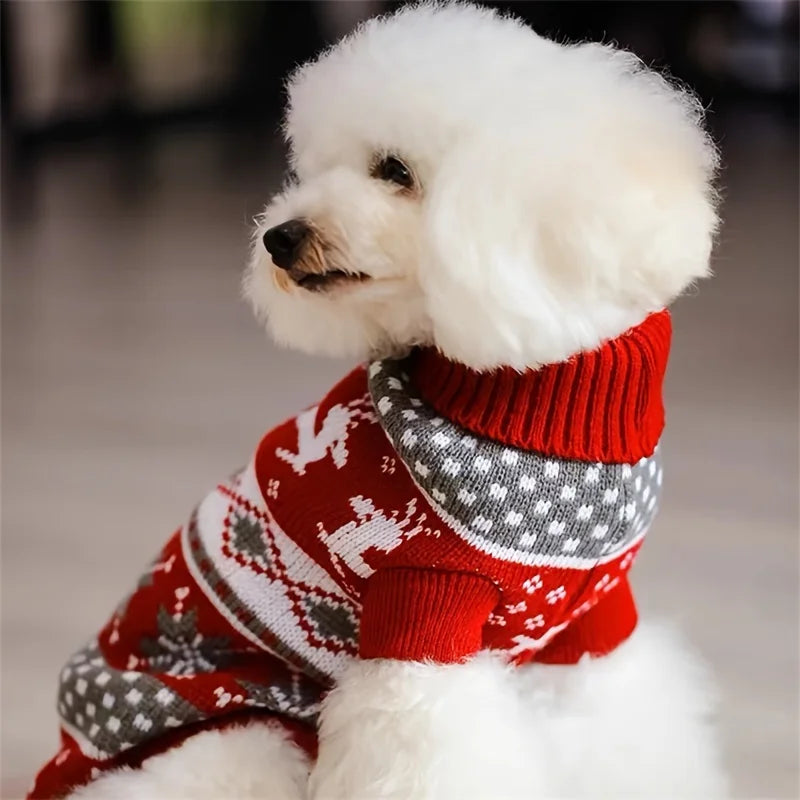Pulls de Noël pour Chiens et Chats – Hiver 2025