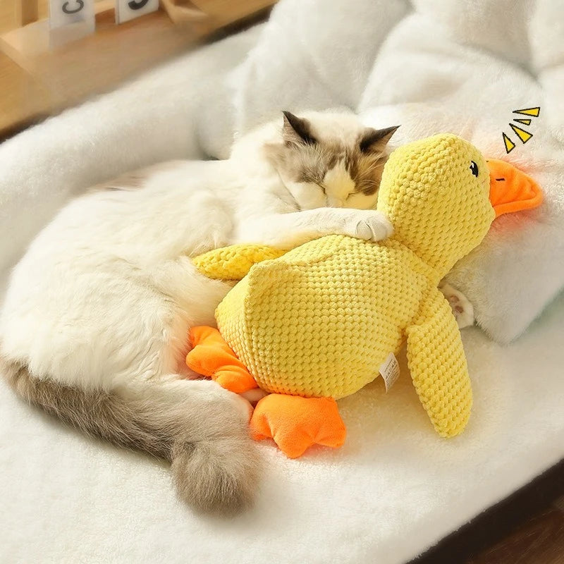 Peluche Canard pour Chien et Chat – Jouet en Polaire Résistant avec Son Grinçant, Anti-Mastication et Confort Doux