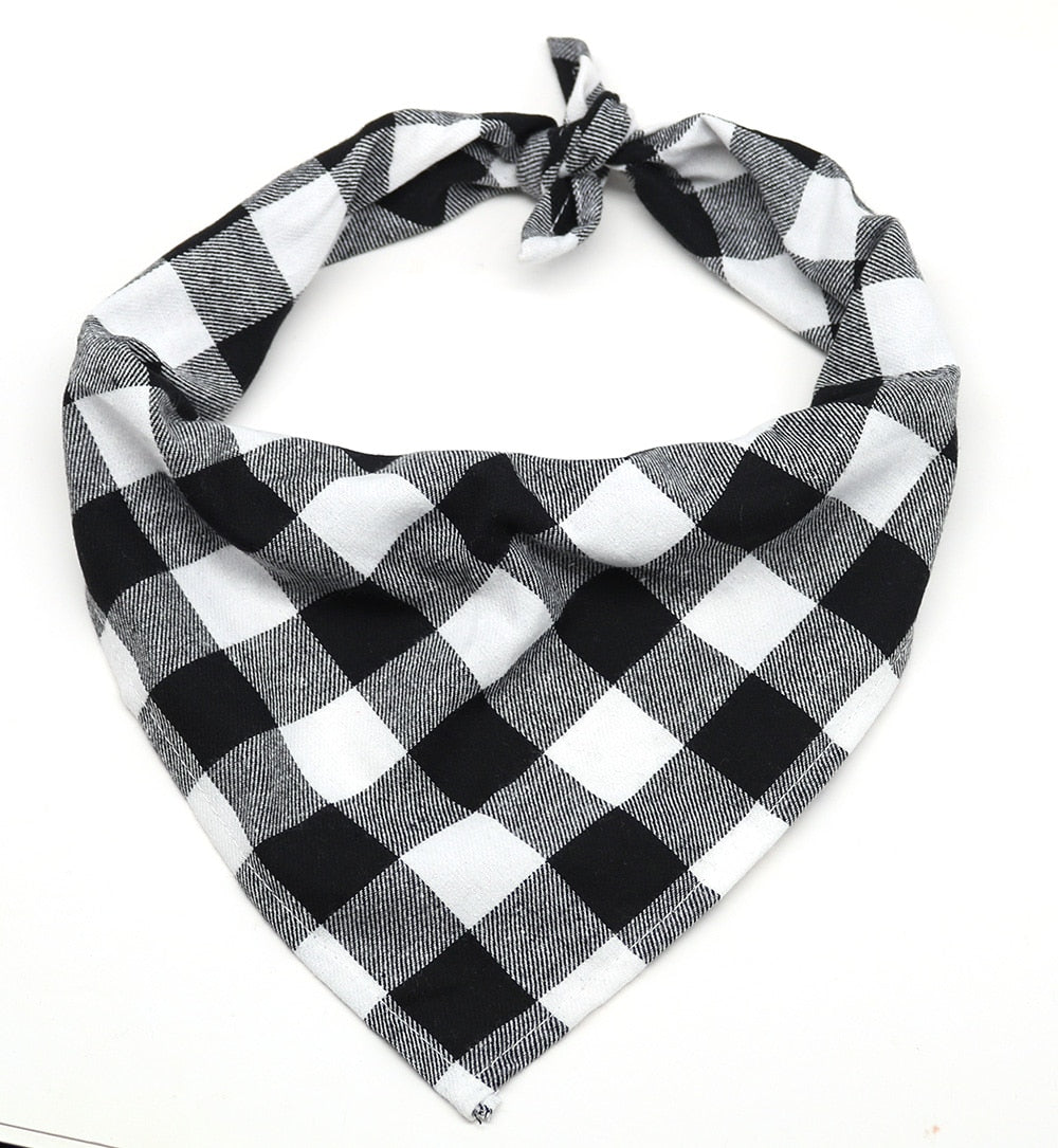 Bandana biker pour chien & chat