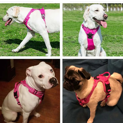 Harnais pour chien, réglable et respirant