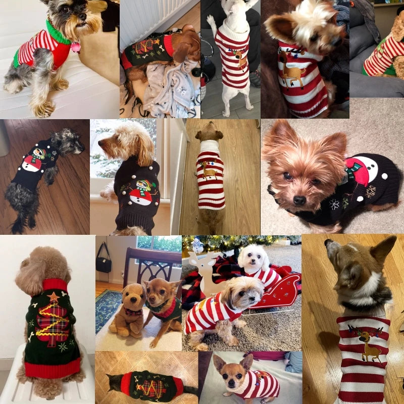 Pull de Noël chaud pour chien et chat