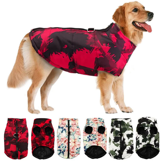 Veste imperméable hiver pour chien