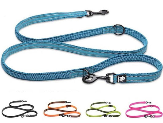 Laisse pour chien multifonction Truelove